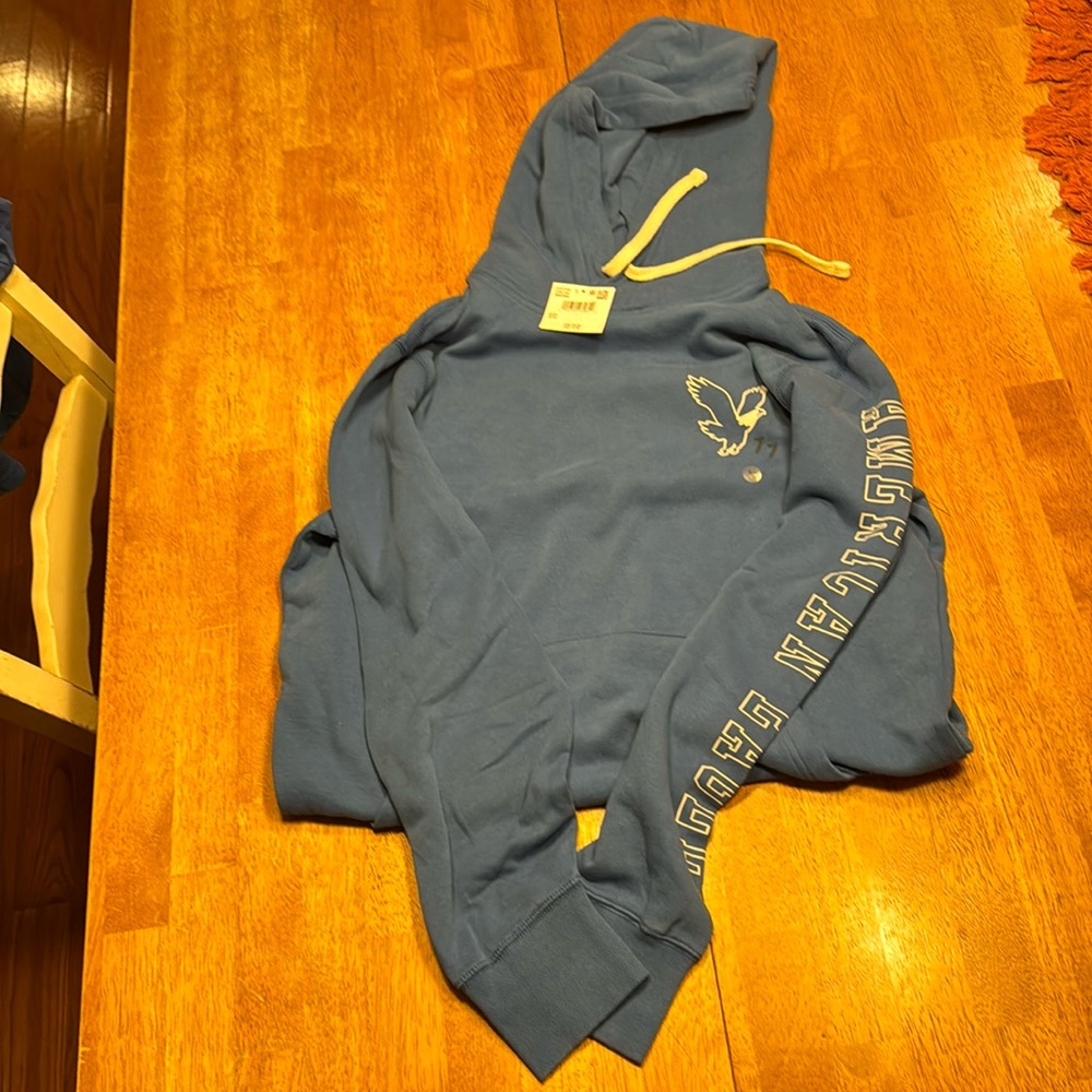 Brand new with tag American Eagle Men’s Medium Royal Blue Sweatshirt